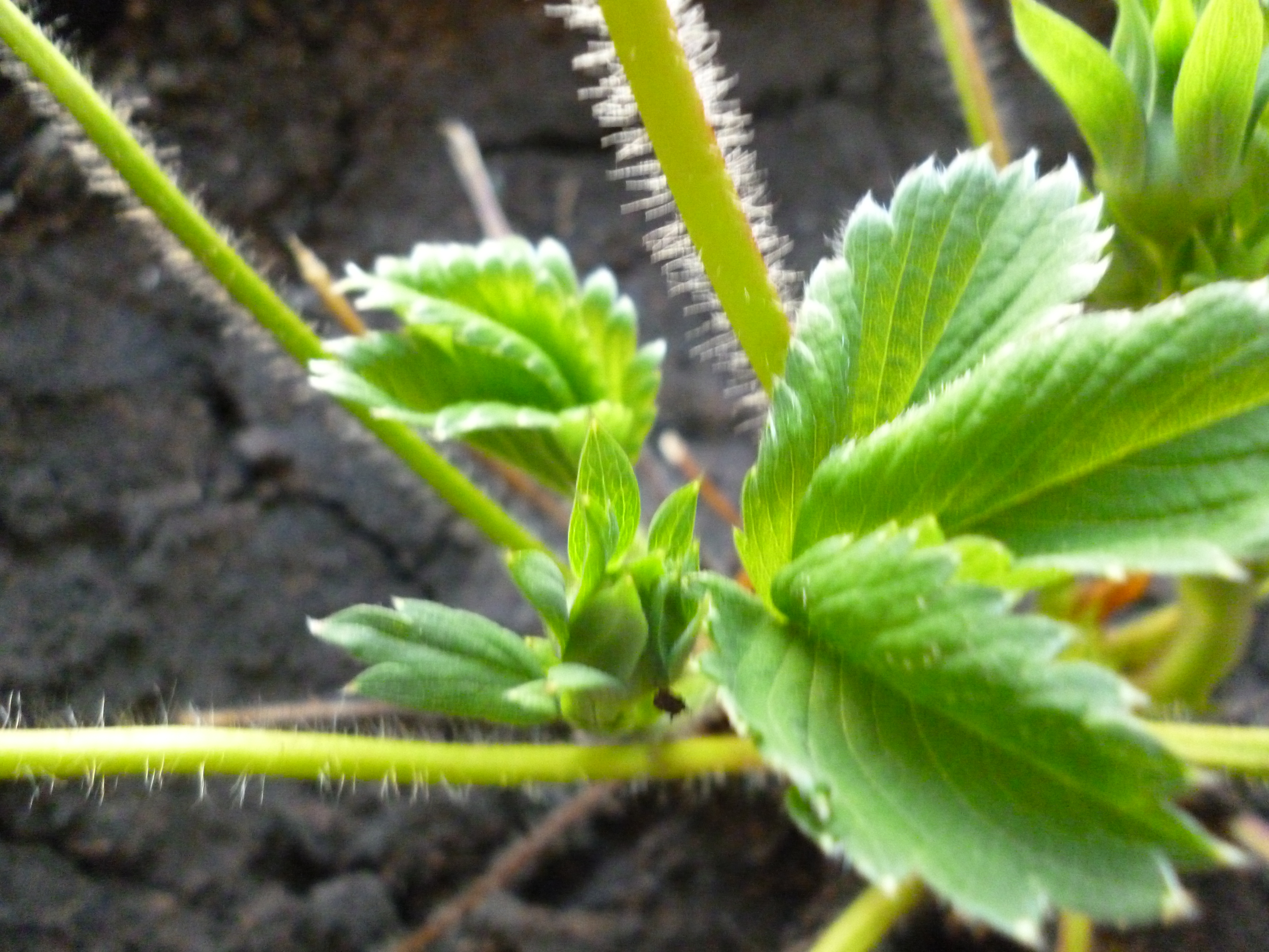 P1250215.JPG