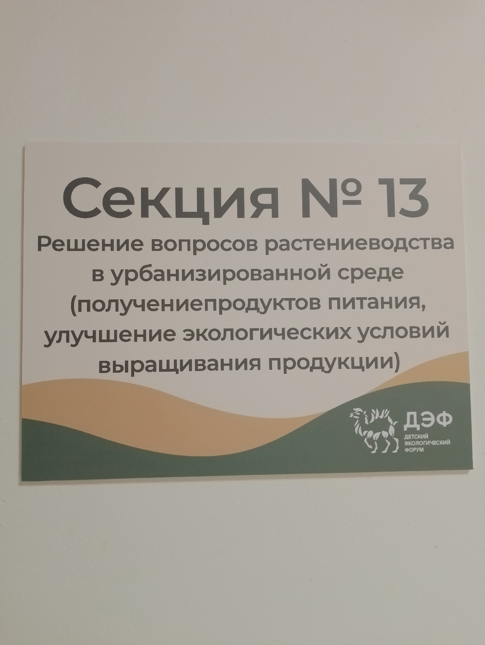 LHUUtzI01Ro.jpg