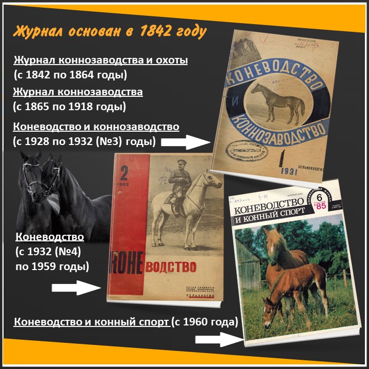 Слайд3.JPG