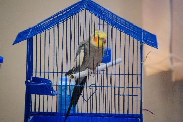 DSC_0058.jpg