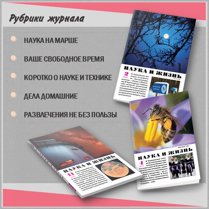 Слайд3.JPG