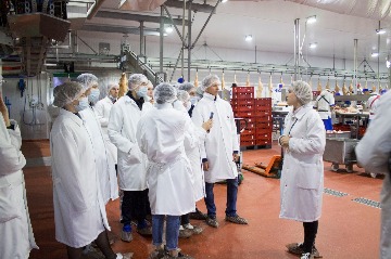 IMG_3967_1.jpg