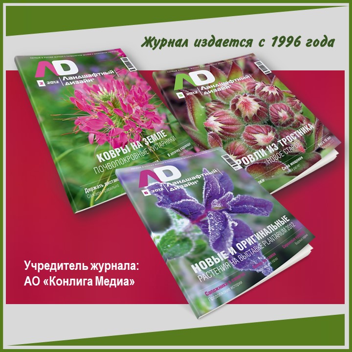 Слайд4.JPG