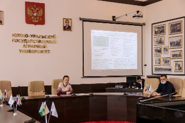 IMG_7955.jpg
