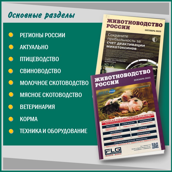 Слайд3.JPG