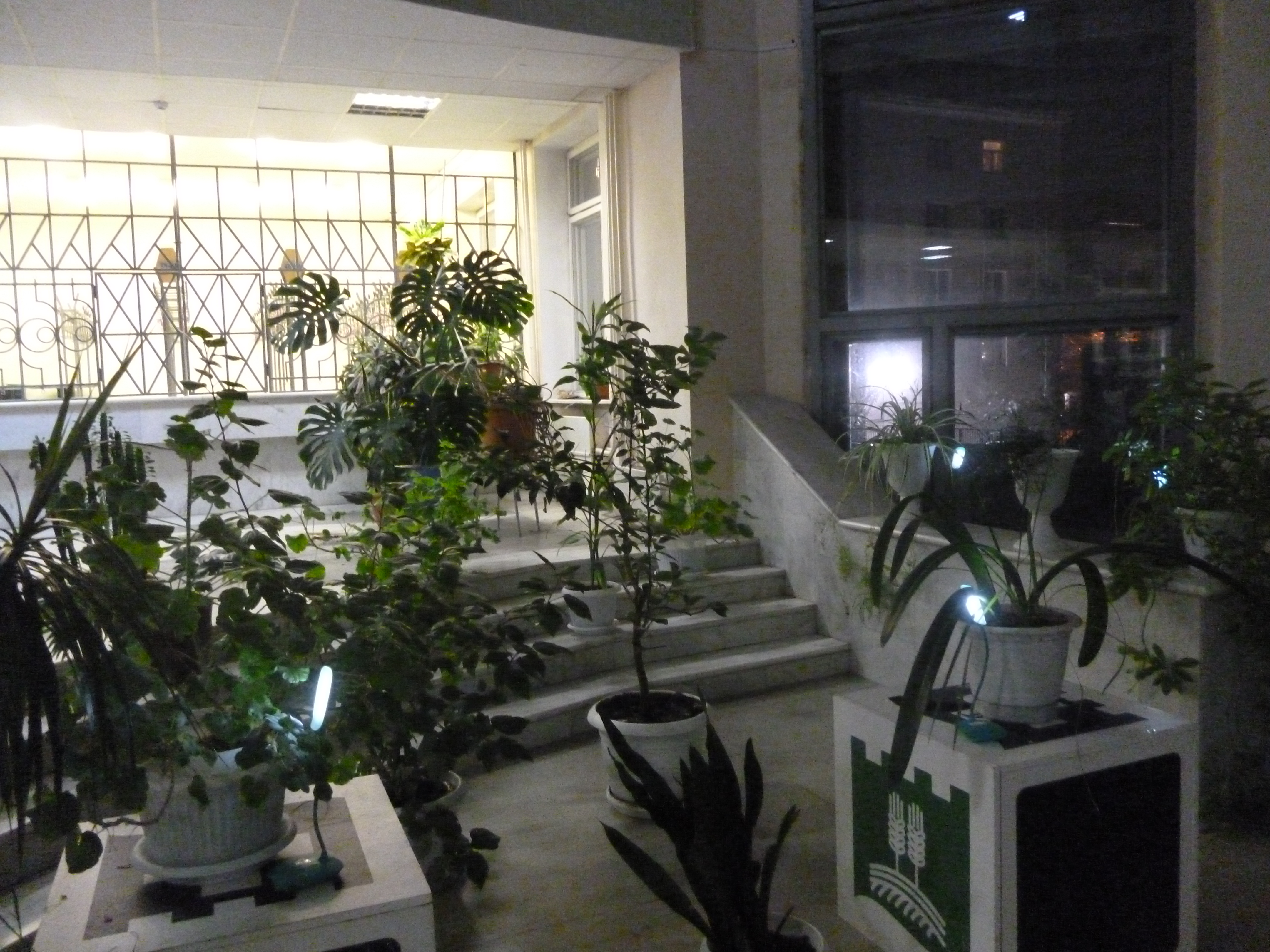 P1230563.JPG