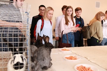 Обоазовательная сессия  (28).JPG