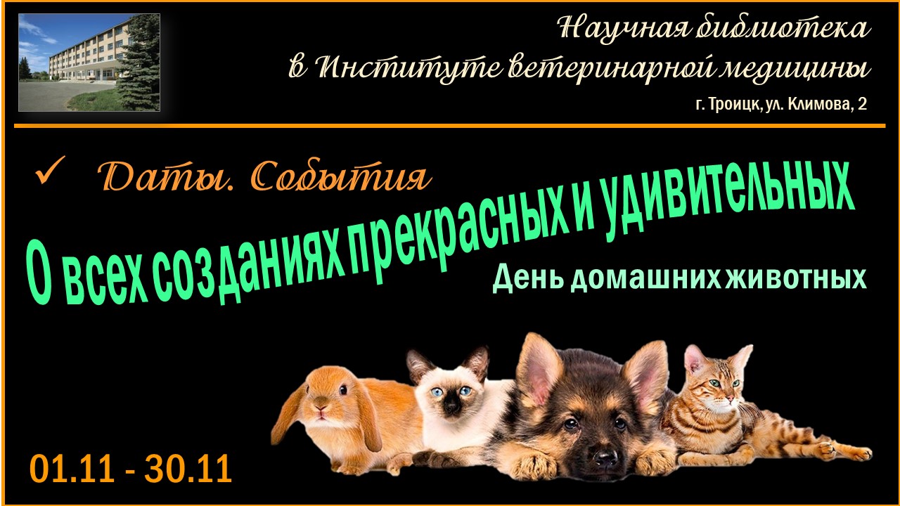 ВЫСТАВКИ-ноябрь-5.jpg