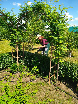 1практика ландшафтных дизайнеров2022.jpeg