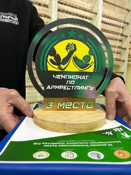 армрестлинг 2024 агро (12).jpg