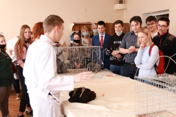Обоазовательная сессия  (30).JPG