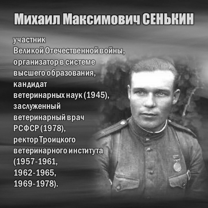 СЕНЬКИН-2а.jpg