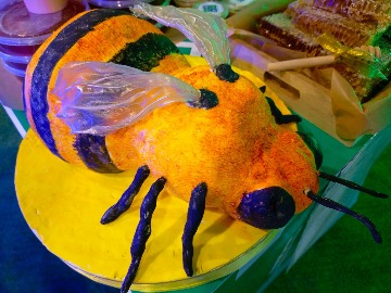 IMG_20240821_154700_760.jpg