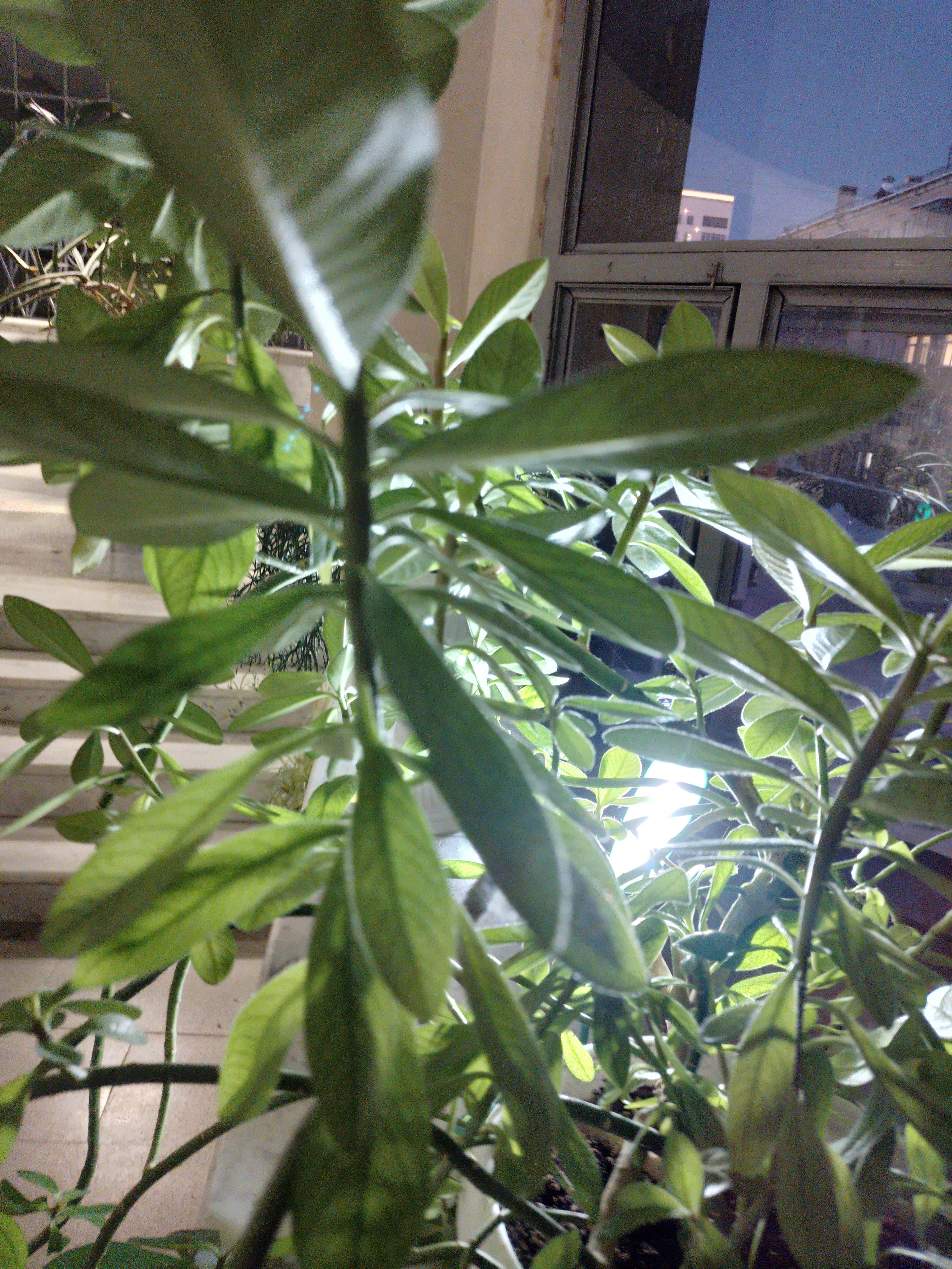 20221129_171423.jpg