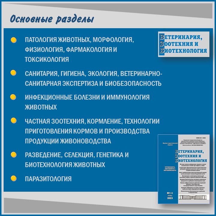 Слайд3.JPG